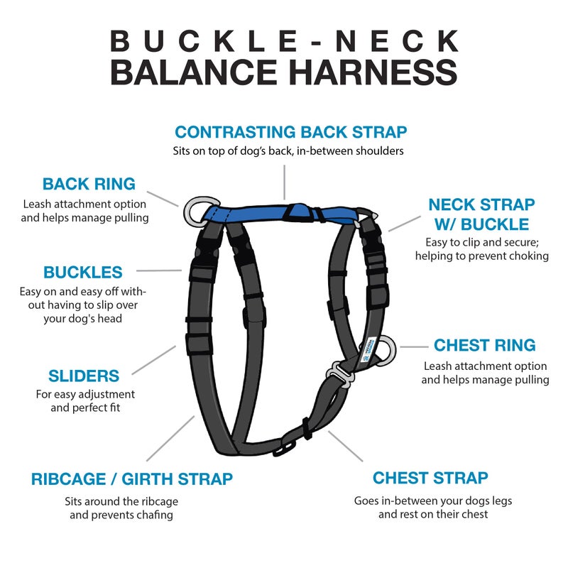 Blue-9 Buckle-Neck Balance Harness, Fully Customizable Fit No-Pull Harness, Ideal for Dog Training and Obedience, Made in The USA, Sky Blue, Large - Image 2
